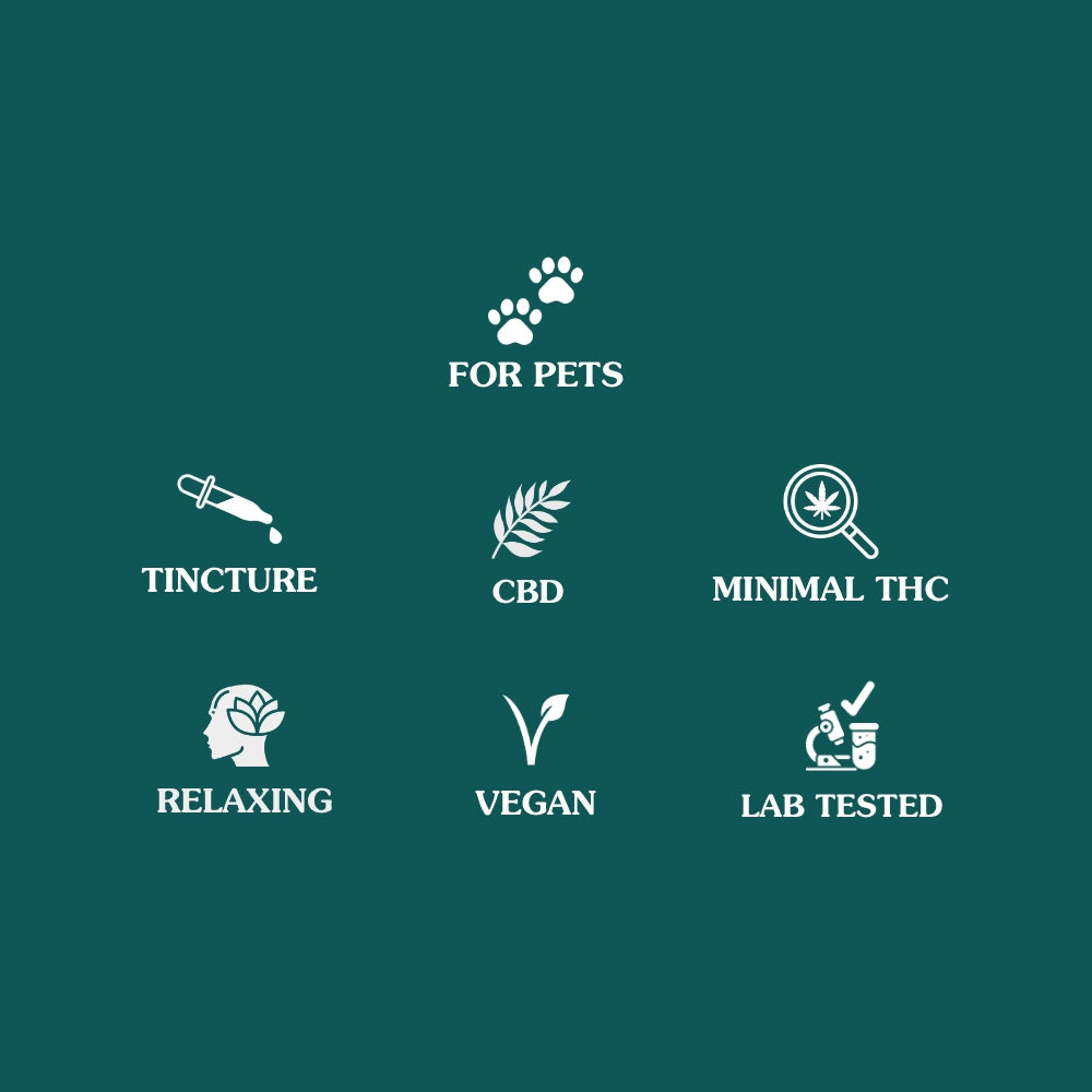 CBD Pet Tincture